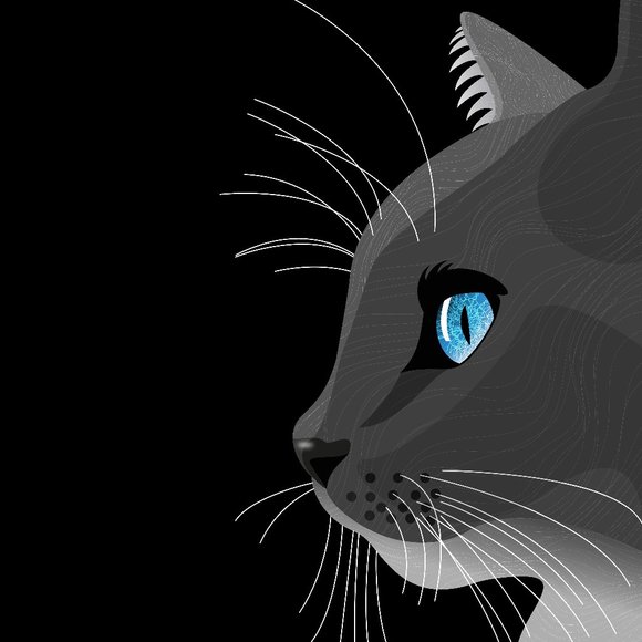 Cat Profile - Picture 2 of 2